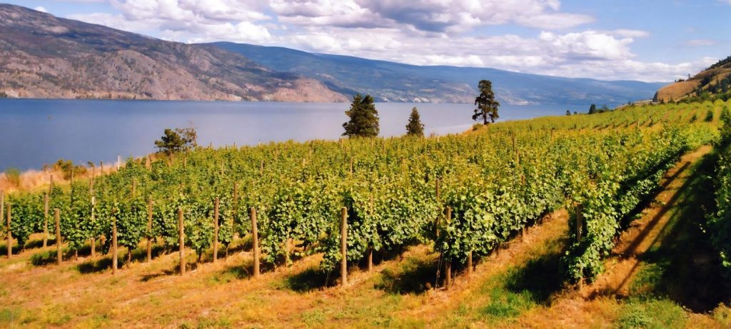 Genome BC’s I² Fund Supports Local Agritech with $3.25M Investment in Maia Farms and Verdi